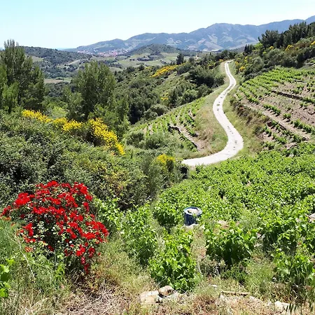 Les Hauts De Apartment Port Vendres