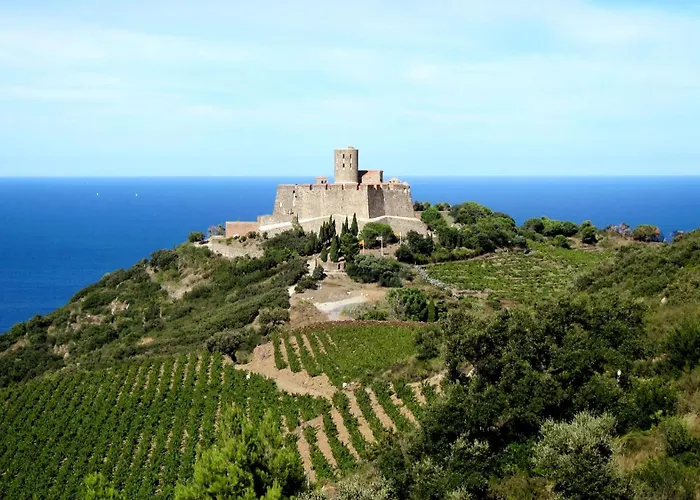 Appartement Les Hauts De Port Vendres