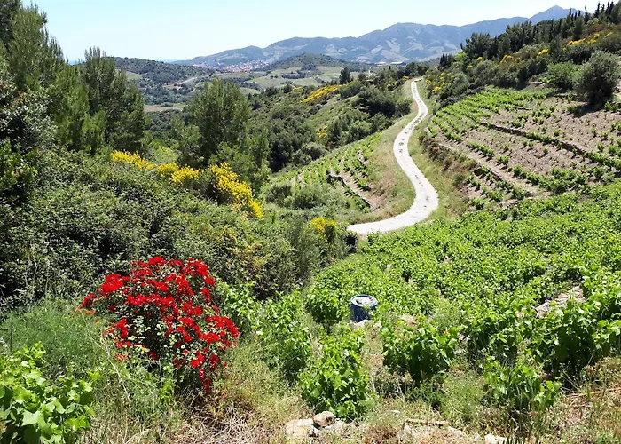 Les Hauts De Appartement Port Vendres
